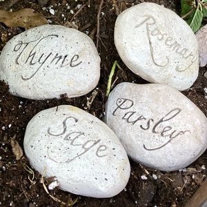 Herb Name “Rocks” for your garden
